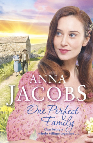 Cover image for 9781473673298 - One Perfect Family