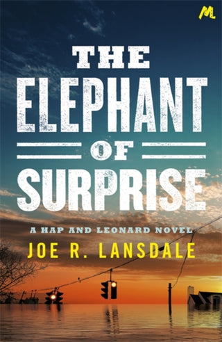 Cover image for 9781473678101 - The Elephant of Surprise