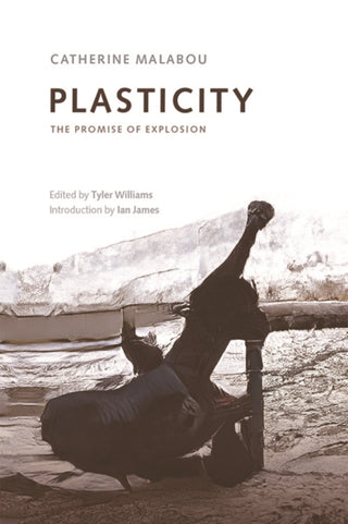 Supplemental image for 9781474462129 - Plasticity