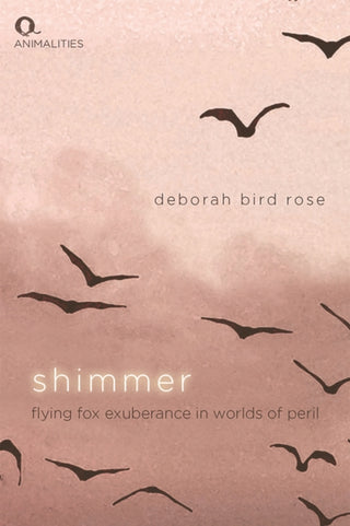 Cover image for 9781474490399 - Shimmer