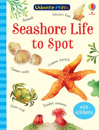 Cover image for 9781474974981 - Seashore Life to Spot