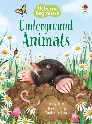 Cover image for 9781474979344 - Underground Animals