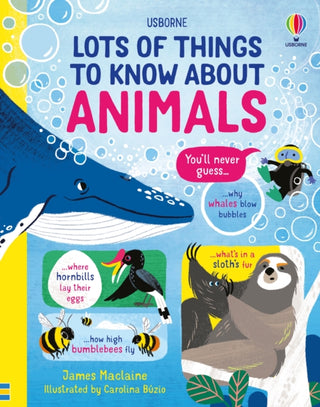 Cover image for 9781474990752 - Lots of Things to Know About Animals