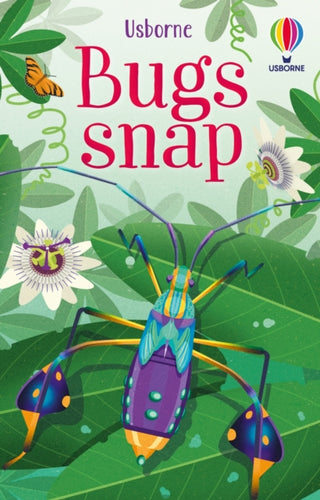 Cover image for 9781474991544 - Bugs Snap