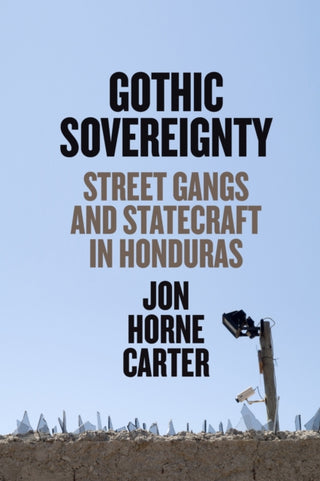 Cover image for 9781477324165 - Gothic Sovereignty