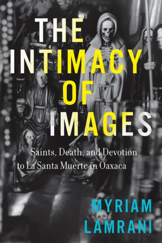 Cover image for 9781477330029 - The Intimacy of Images
