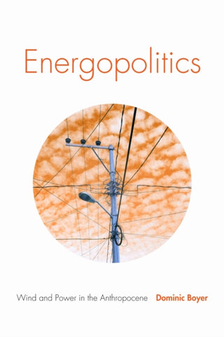 Cover image for 9781478003779 - Energopolitics