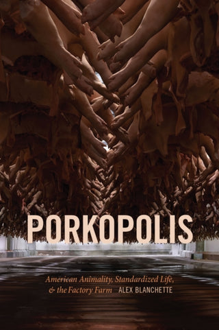 Cover image for 9781478008408 - Porkopolis