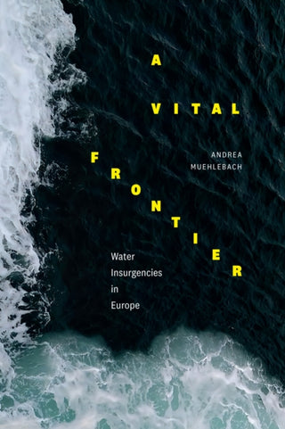 Cover image for 9781478017134 - A Vital Frontier