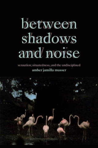 Cover image for 9781478030096 - Between Shadows and Noise