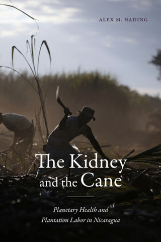 Cover image for 9781478031871 - The Kidney and the Cane