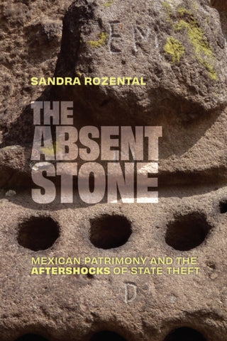 Cover image for 9781478033127 - The Absent Stone