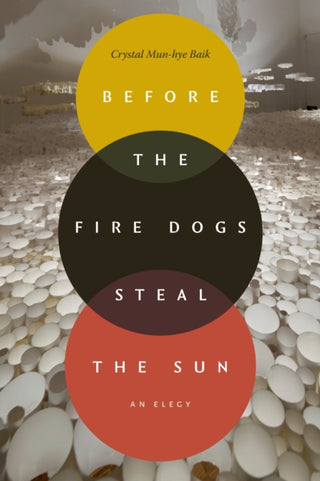 Cover image for 9781478038641 - Before the Fire Dogs Steal the Sun