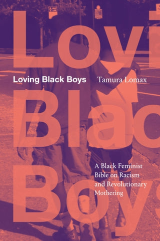 Cover image for 9781478038702 - Loving Black Boys