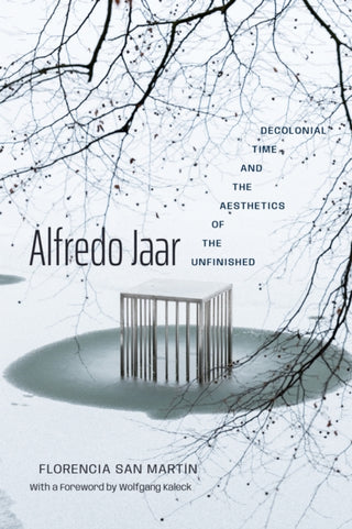 Cover image for 9781478038788 - Alfredo Jaar