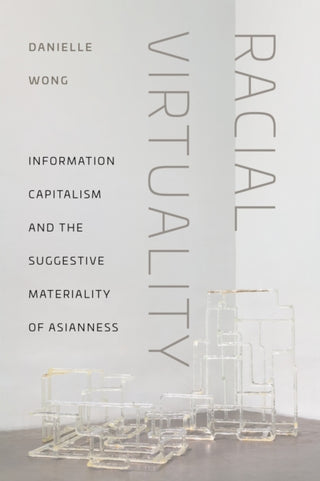 Cover image for 9781479838110 - Racial Virtuality