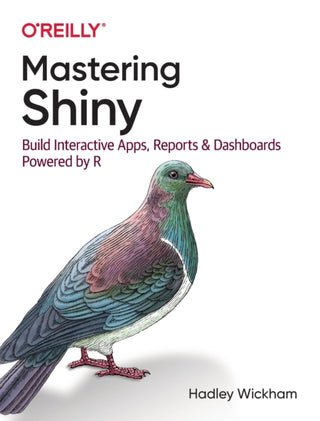 Cover image for 9781492047384 - Mastering Shiny