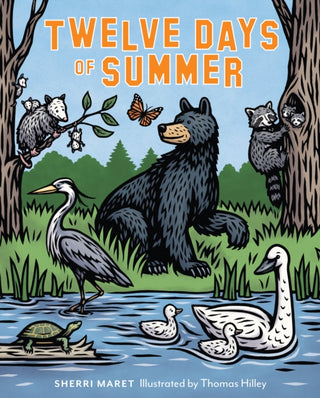 Cover image for 9781493081608 - Twelve Days of Summer