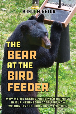Cover image for 9781493089499 - The Bear at the Bird Feeder