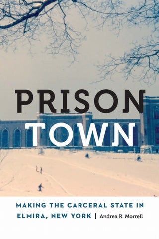 Cover image for 9781496243119 - Prison Town