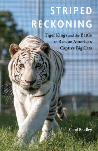 Cover image for 9781496247957 - Striped Reckoning