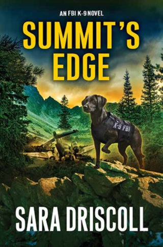 Cover image for 9781496744005 - Summit’s Edge
