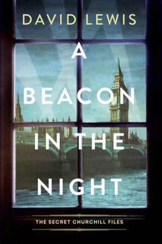 Cover image for 9781496749130 - A Beacon in the Night