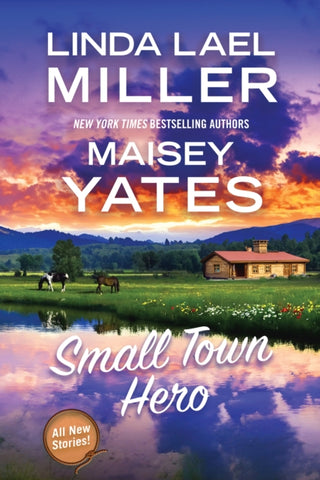 Cover image for 9781496753700 - Small Town Hero