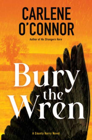 Cover image for 9781496755353 - Bury the Wren