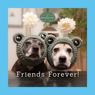 Cover image for 9781497105263 - Sookie and Ivy Friends Forever!