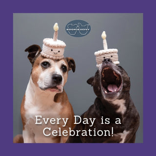 Cover image for 9781497105270 - Sookie and Ivy Every Day Is a Celebration