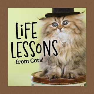 Cover image for 9781497105591 - Life Lessons from Cats
