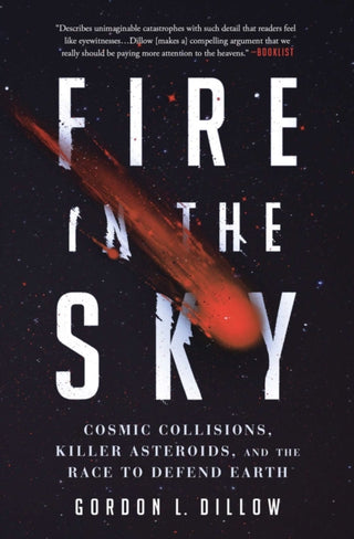 Cover image for 9781501187759 - Fire in the Sky