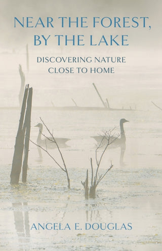 Cover image for 9781501780370 - Near the Forest, by the Lake
