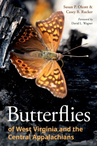 Cover image for 9781501785450 - Butterflies of West Virginia and the Central Appalachians