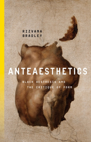 Cover image for 9781503637139 - Anteaesthetics