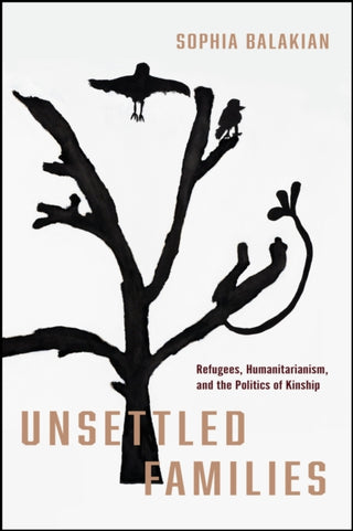 Cover image for 9781503641198 - Unsettled Families