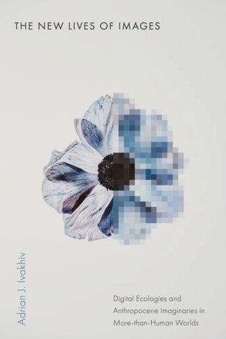 Cover image for 9781503643987 - The New Lives of Images