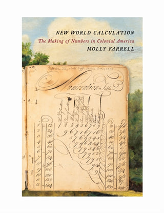 Cover image for 9781503646629 - New World Calculation