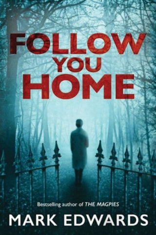 Cover image for 9781503944374 - Follow You Home