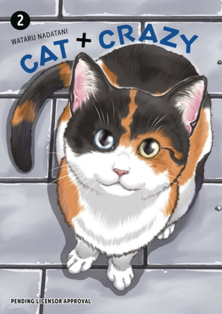 Cover image for 9781506747095 - Cat + Crazy Volume 2