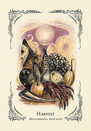 Supplemental image for 9781507221136 - The Green Witch's Oracle Deck
