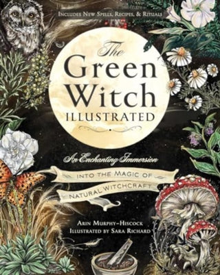 Cover image for 9781507223192 - The Green Witch Illustrated