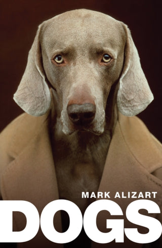 Cover image for 9781509537280 - Dogs: A philosophical guide to our best friends