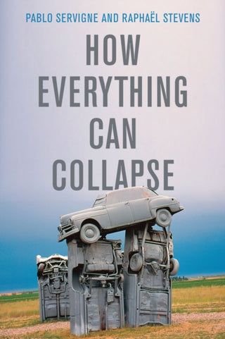 Cover image for 9781509541393 - How Everything Can Collapse