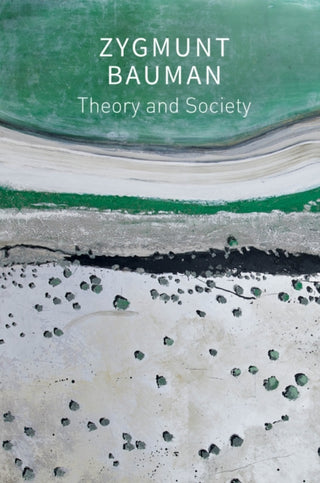 Cover image for 9781509550784 - Theory and Society