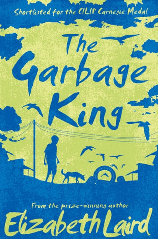 Cover image for 9781509802951 - The Garbage King