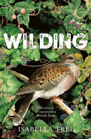 Cover image for 9781509805099 - Wilding