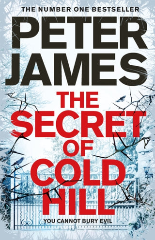 Cover image for 9781509816231 - The Secret of Cold Hill