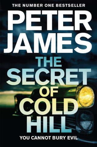Cover image for 9781509816255 - The Secret of Cold Hill